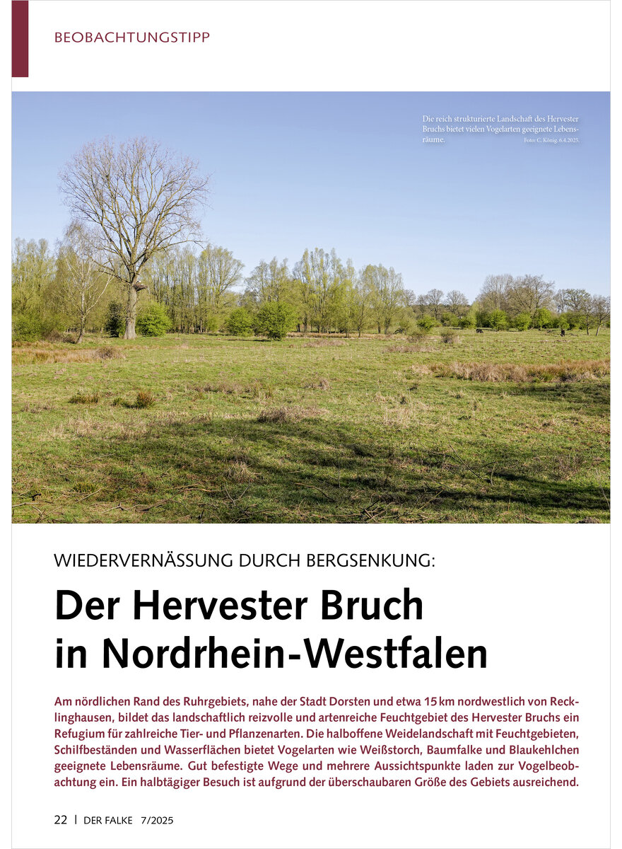 Auf diesem Bild sehen Sie das Produktbild 1 fr WIEDERVERNSSUNG DURCH BERG SENKUNG DER HERVESTER BRUCH IN NORDRHEIN-WESTFALEN