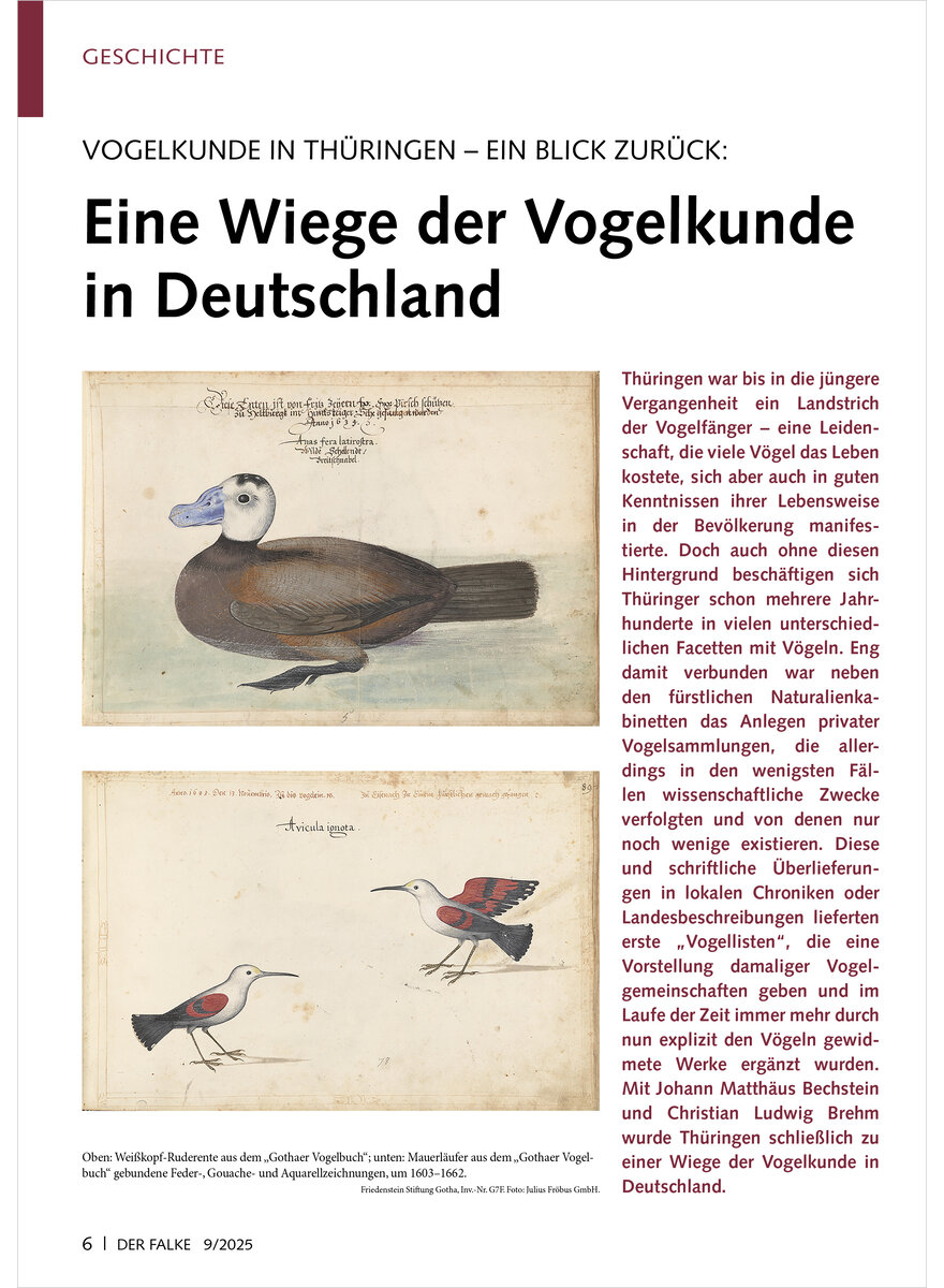 Auf diesem Bild sehen Sie das Produktbild 1 fr VOGELKUNDE IN THRINGEN EIN BLICK ZURCK EINE WIEGE DER VOGELKUNDE IN DEUTSCHLAND