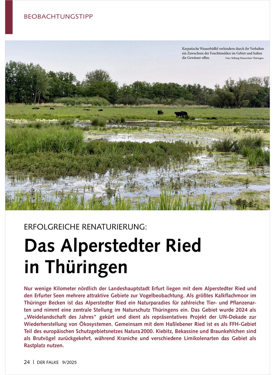 Auf diesem Bild sehen Sie das Produktbild 1 fr ERFOLGREICHE RENATURIERUNG DAS ALPERSTEDTER RIED IN THRINGEN