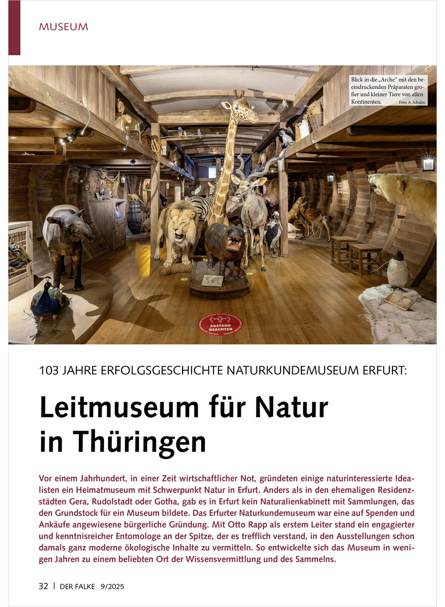 Auf diesem Bild sehen Sie das Produktbild 1 fr 103 JAHRE ERFOLGSGESCHICHTE NATURKUNDEMUSEUM ERFURT LEIT MUSEUM FR NATUR IN THRINGEN