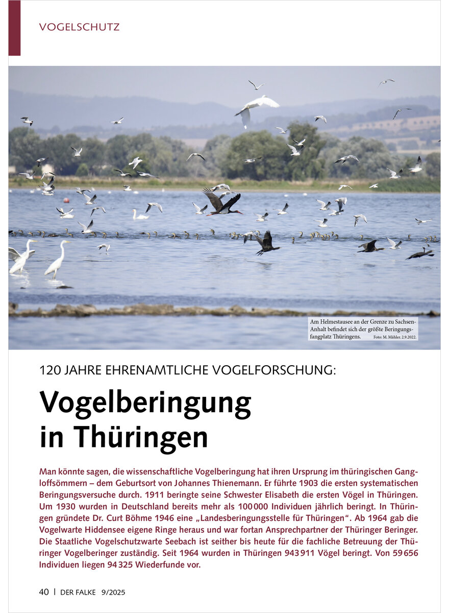 Auf diesem Bild sehen Sie das Produktbild 1 fr 120 JAHRE EHRENAMTLICHE VOGEL FORSCHUNG VOGELBERINGUNG IN THRINGEN