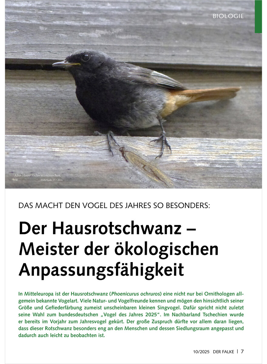 Auf diesem Bild sehen Sie das Produktbild 1 fr VOGEL DES JAHRES HAUROTSCHWANZ MEISTER DER KOLOGISCHEN AN PASSUNGSFHIGKEIT