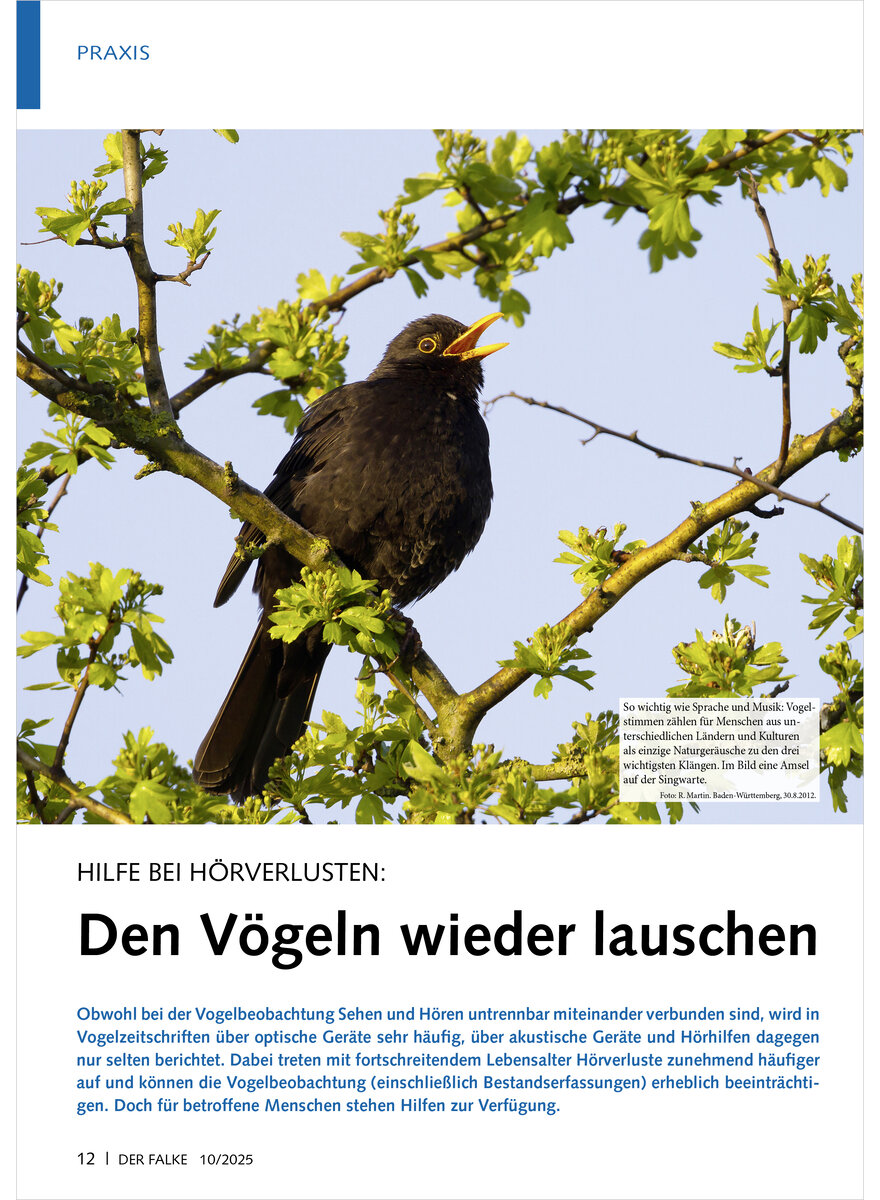 Auf diesem Bild sehen Sie das Produktbild 1 fr HILFE BEI HRVERLUSTEN DEN VGELN WIEDER LAUSCHEN