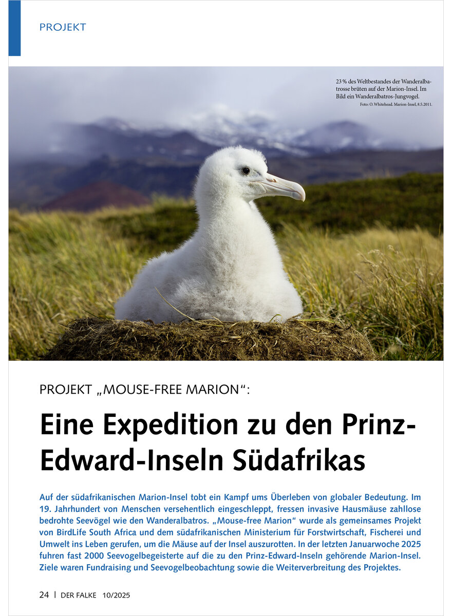 Auf diesem Bild sehen Sie das Produktbild 1 fr PROJEKT MOUSE-FREE MARION EINE EXPEDITION ZU DEN PRINZ-EDWARD INSELN SDAFRIKAS