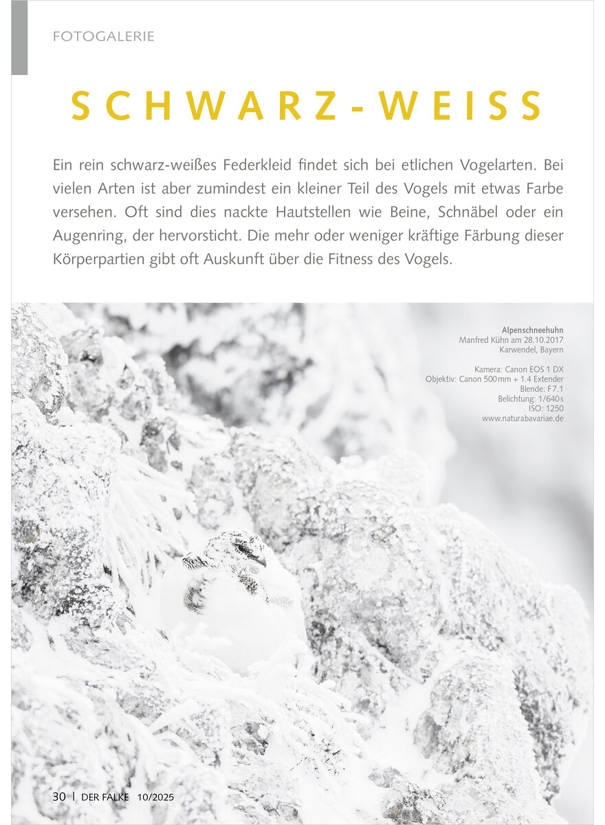 Auf diesem Bild sehen Sie das Produktbild 1 fr FOTOGALERIE SCHWARZ-WEISS