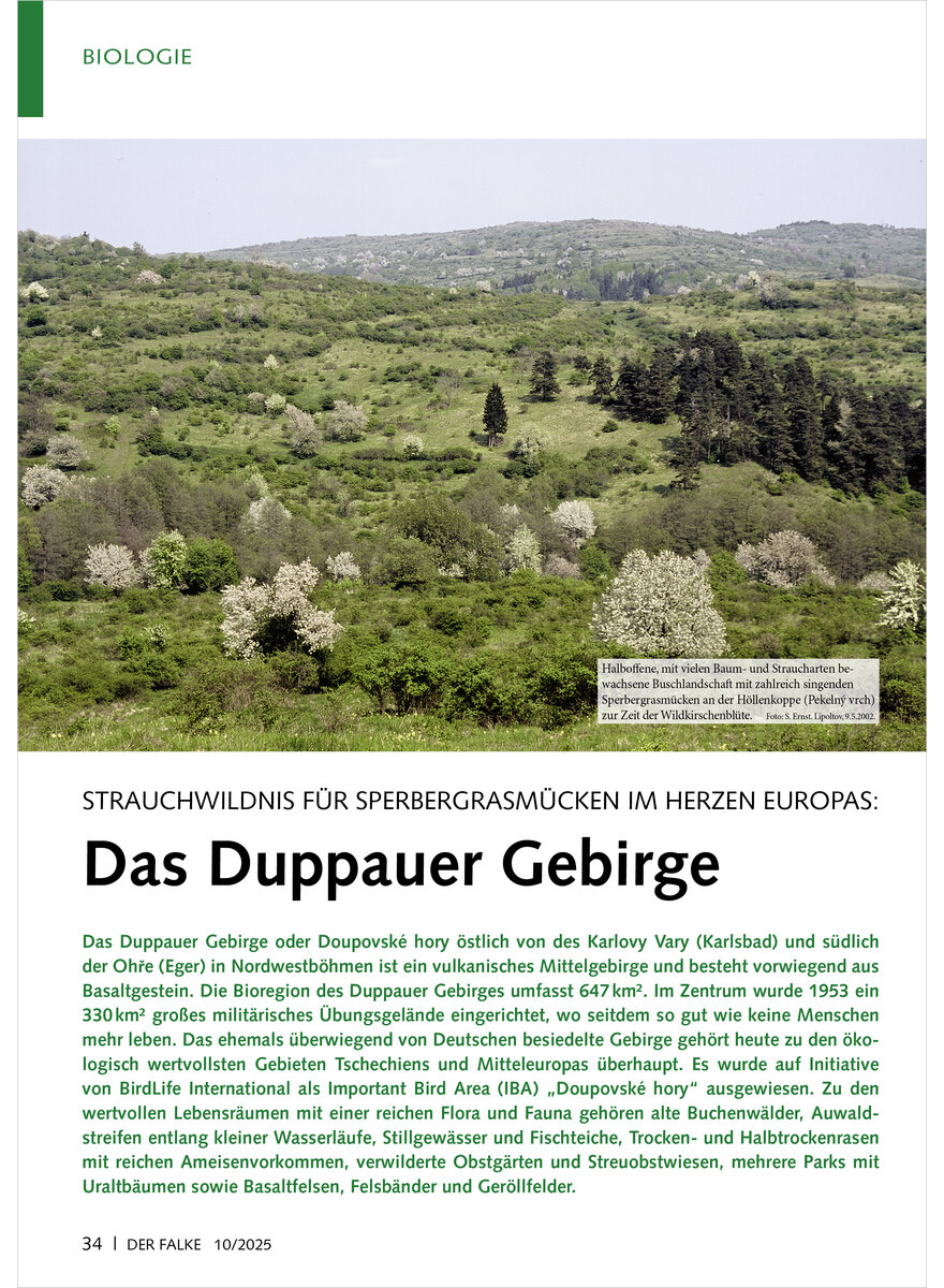 Auf diesem Bild sehen Sie das Produktbild 1 fr STRAUCHWILDNIS FR SPERBERGRAS MCKEN IM HERZEN EUROPAS DAS DUPPAUER GEBIRGE