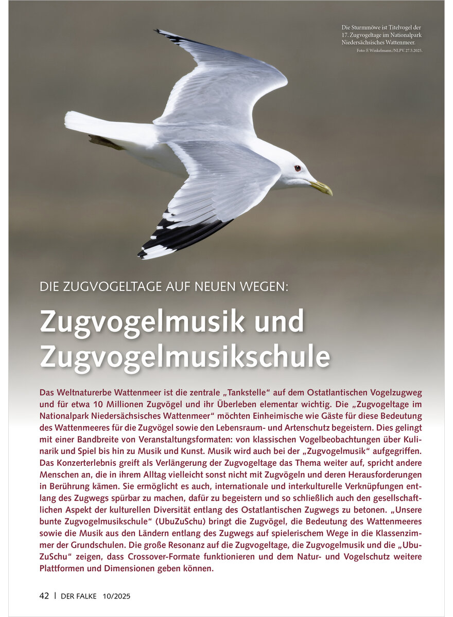 Auf diesem Bild sehen Sie das Produktbild 1 fr DIE ZUGVOGELTAGE AUF NEUEN WEGEN ZUGVOGELMUSIK UND ZUG VOGELMUSIKSCHULE
