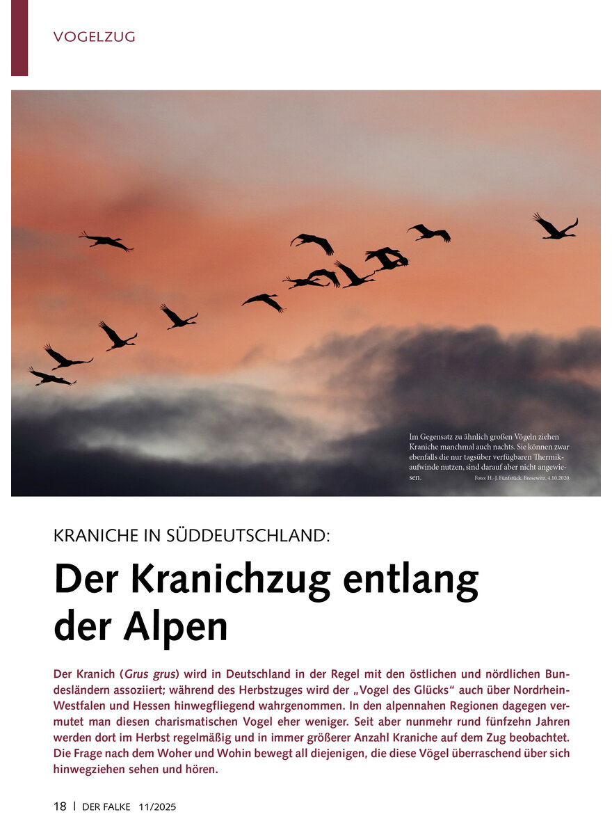 Auf diesem Bild sehen Sie das Produktbild 1 fr KRANICHE IN SDDEUTSCHLAND DER KRANICHZUG ENTLANG DER ALPEN