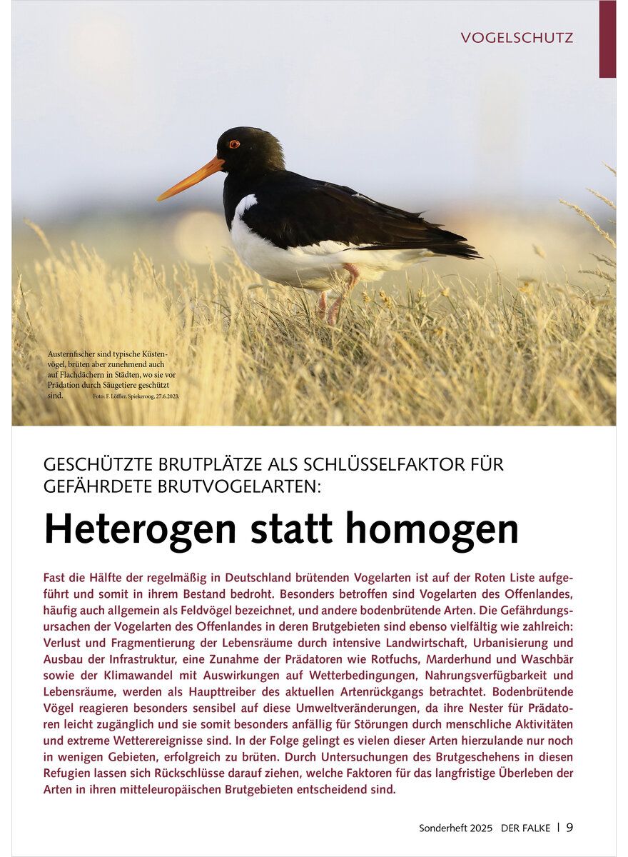 Auf diesem Bild sehen Sie das Produktbild 1 fr GESCHTZTE BRUTPLTZE ALS SCHL SSELFAKTOR FR GEFHRDETE VOG ELARTEN HETEROGEN STATT HOMOGE