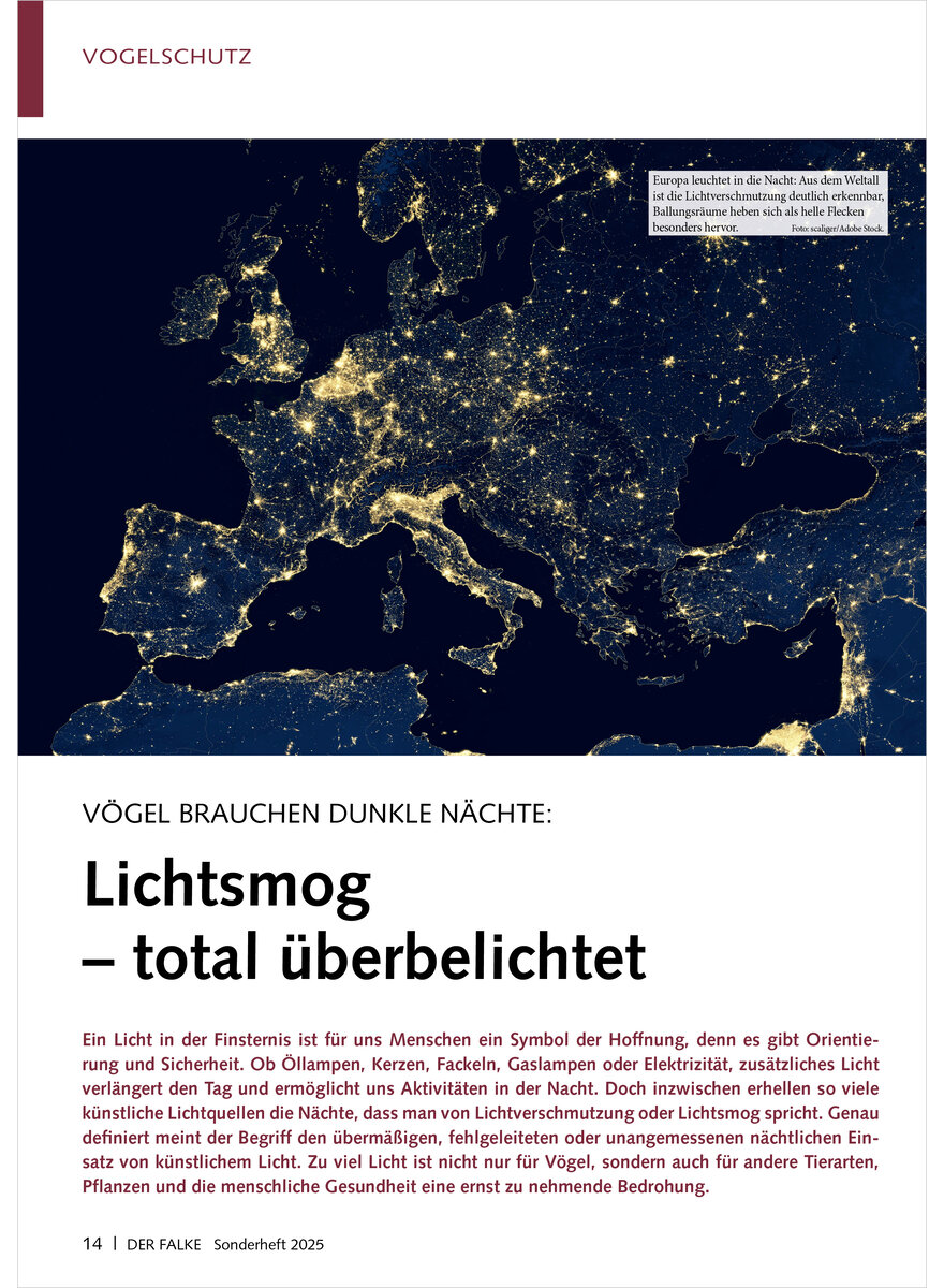 Auf diesem Bild sehen Sie das Produktbild 1 fr VGEL BRAUCHEN DUNKLE NCHTE LICHTSMOG TOTAL BERBELICHTET