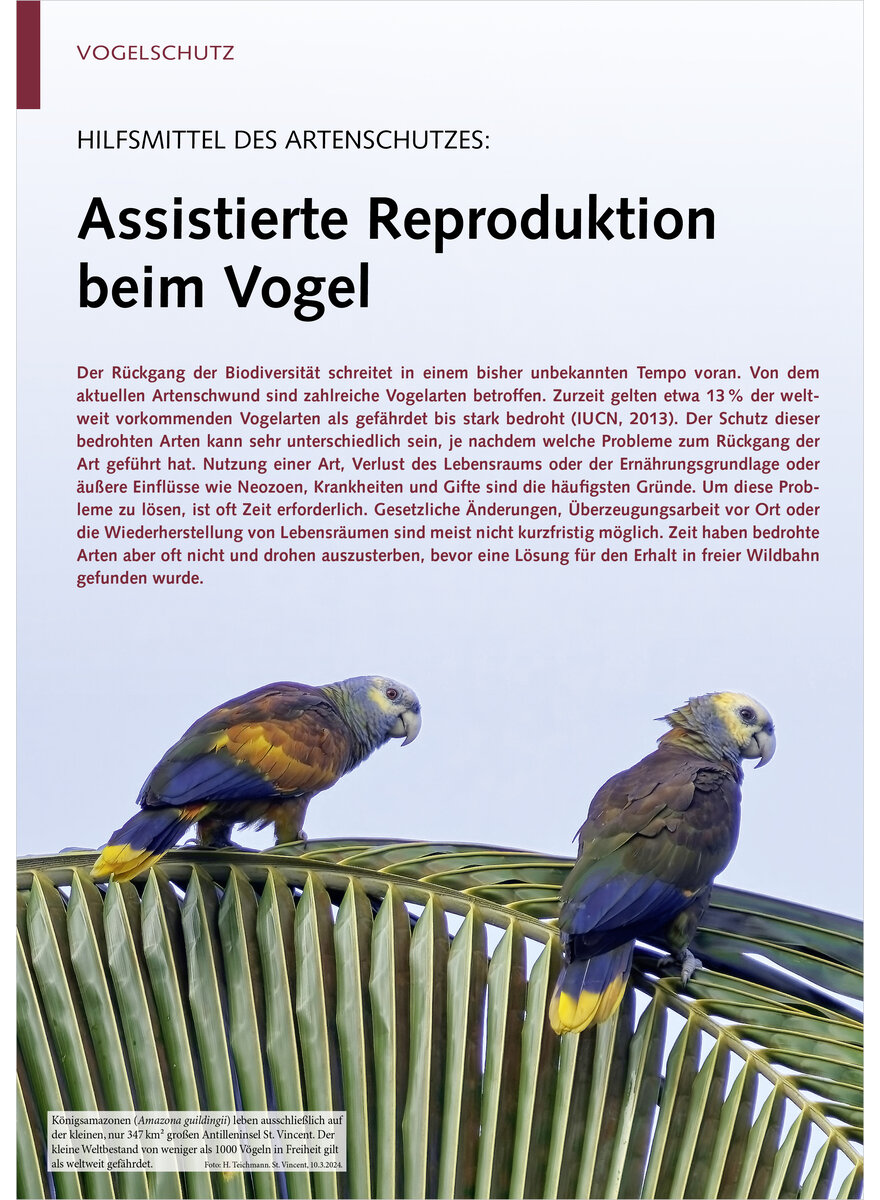 Auf diesem Bild sehen Sie das Produktbild 1 fr HILFSMITTEL DES ARTENSCHUTZES ASSISTIERTE REPRODUKTION BEIM VOGEL