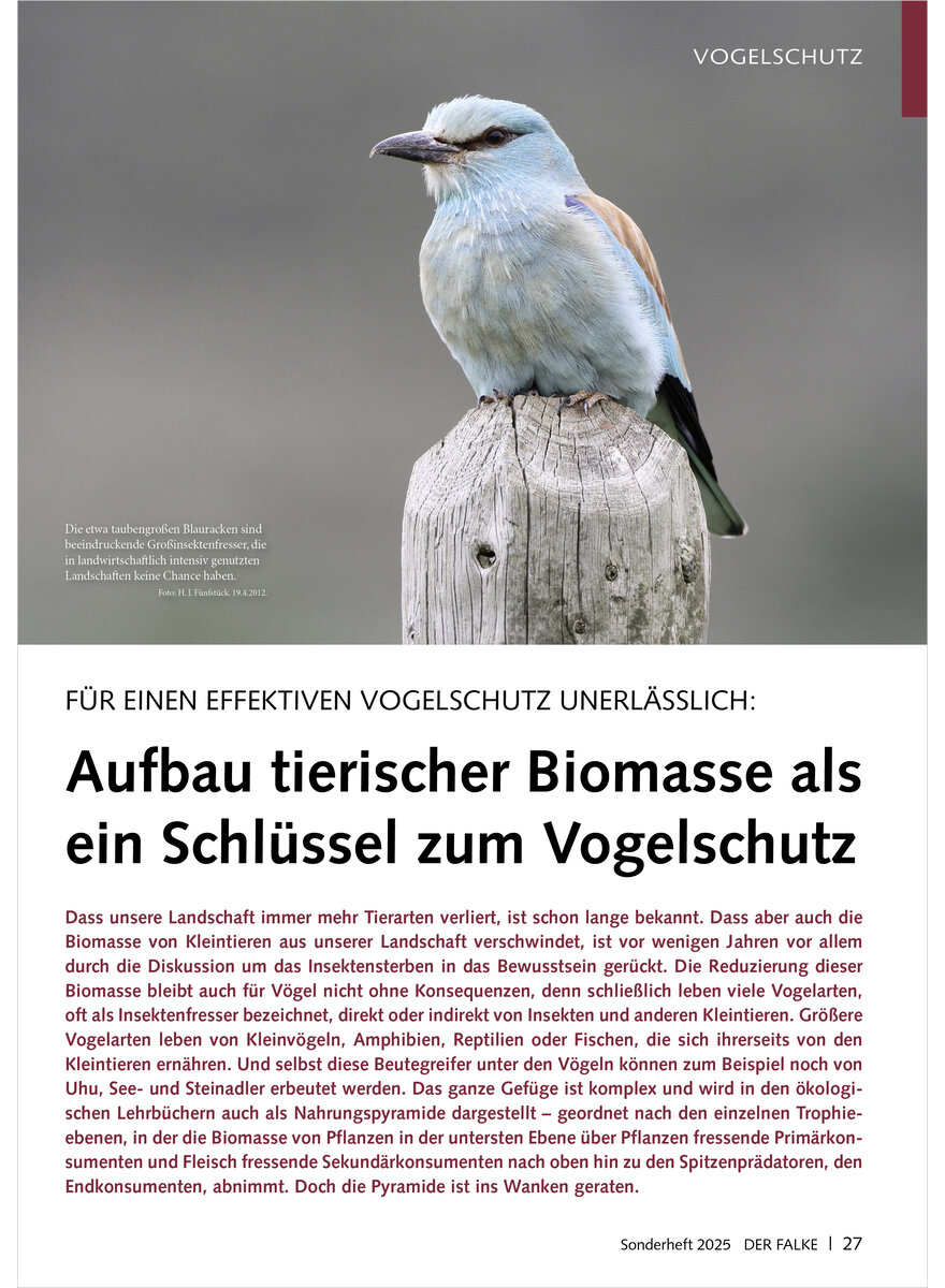 Auf diesem Bild sehen Sie das Produktbild 1 fr AUFBAU TIERISCHER BIOMASSE ALS EIN SCHLSSEL ZUM VOGELSCHUTZ