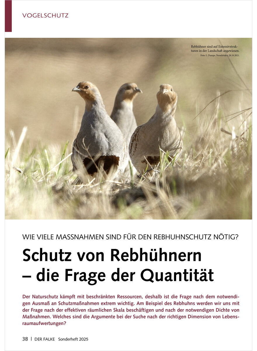 Auf diesem Bild sehen Sie das Produktbild 1 fr WIE VIELE MASSNAHMEN SIND FR DEN REBHUHNSCHUTZ NTIG SCHUTZ VON REBHNERN