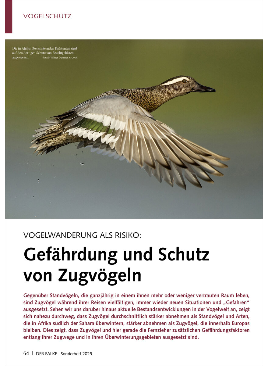 Auf diesem Bild sehen Sie das Produktbild 1 fr VOGELWANDERUNG ALS RISIKO GEFHRDUNG UND SCHUTZ VON ZUGVGELN