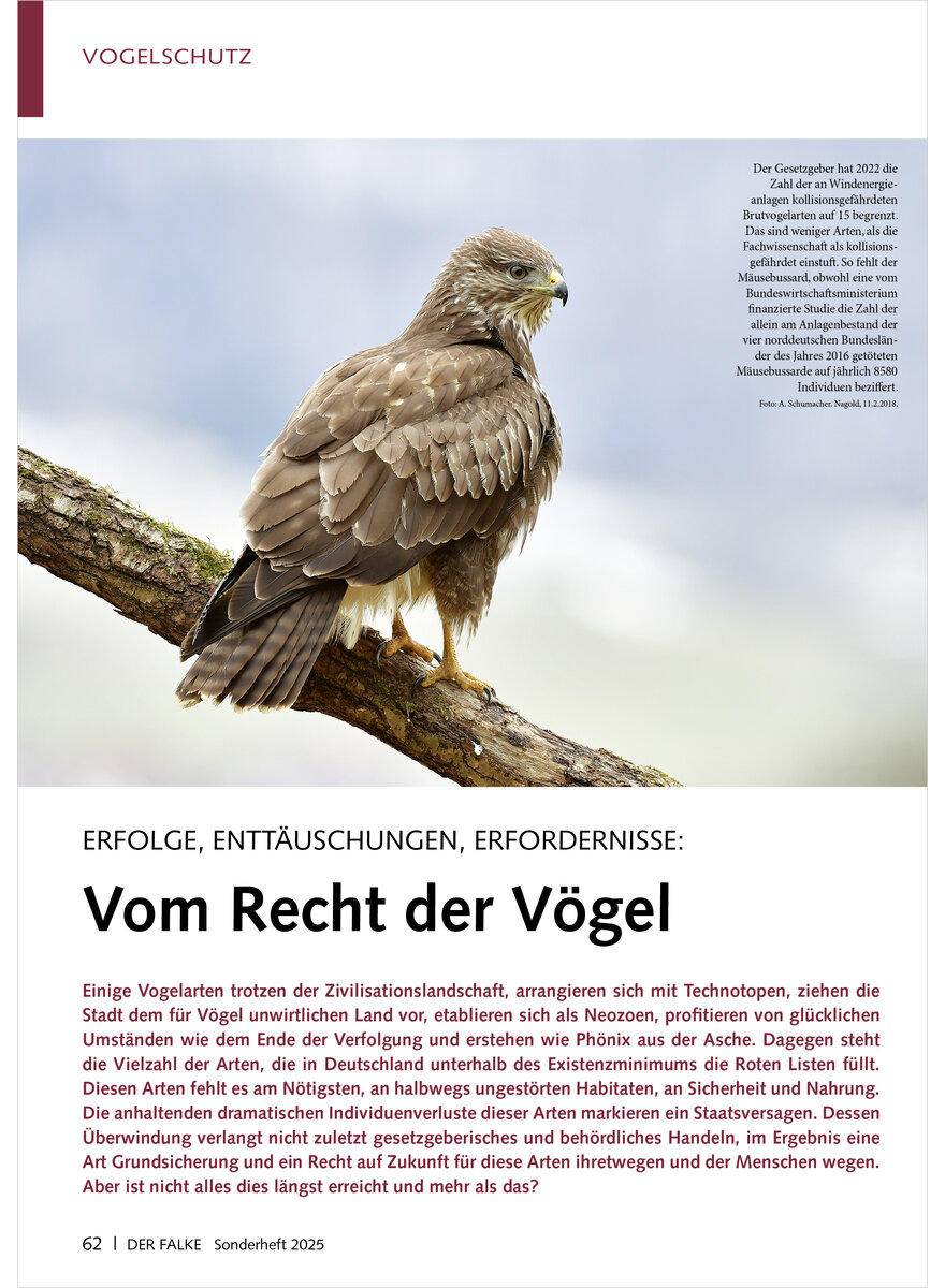 Auf diesem Bild sehen Sie das Produktbild 1 fr ERFOLGE, ENTTUSCHUNGEN, ERFOR DERNISSE VOM RECHT DER VGEL