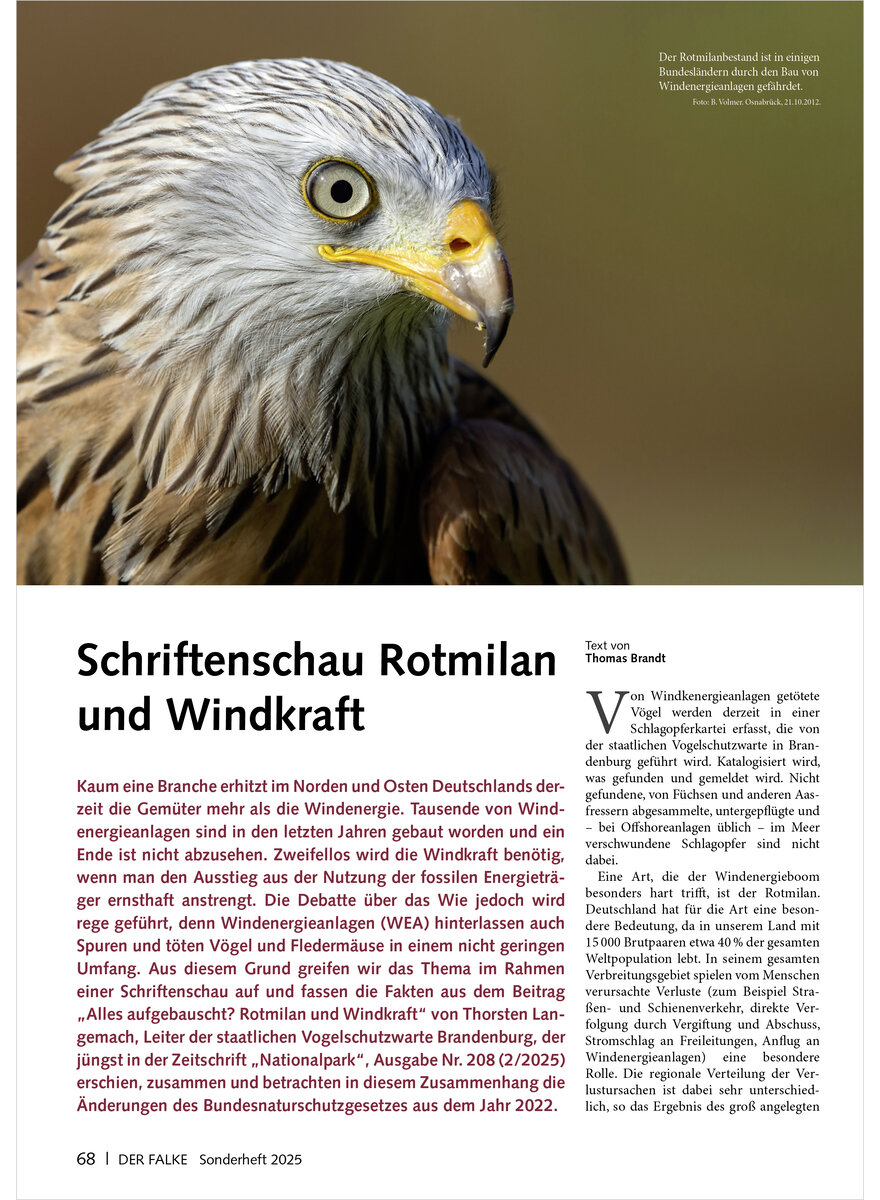 Auf diesem Bild sehen Sie das Produktbild 1 fr SCHRIFTENSCHAU ROTMILAN UND WINDKRAFT