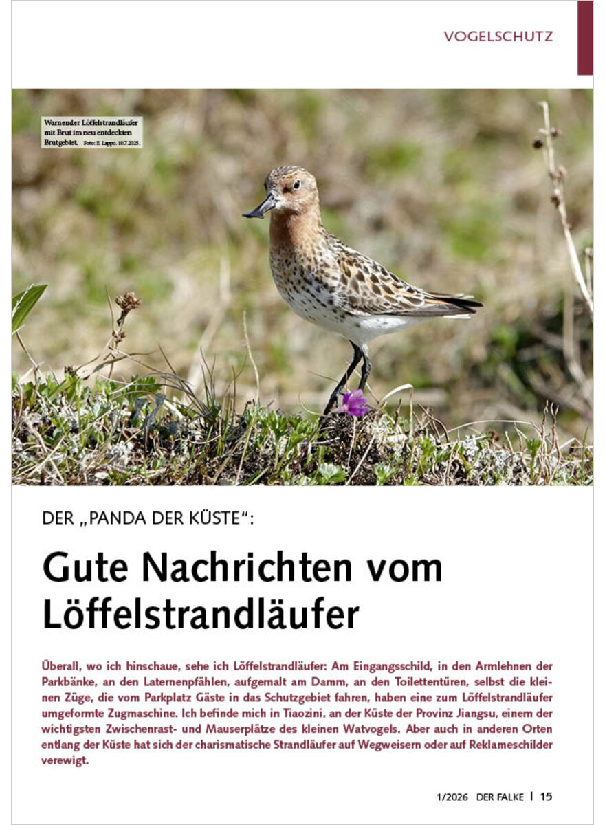 Auf diesem Bild sehen Sie das Produktbild 1 f�r DER PANDA DER K�STE GUTE NACH RICHTEN VOM L�FFELSTRANDL�UFER