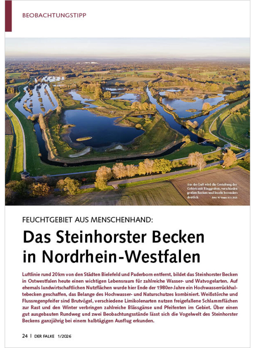 Auf diesem Bild sehen Sie das Produktbild 1 f�r FEUCHTGEBIET AUS MENSCHENHAND DAS STEINHORSTER BECKEN IN NORDRHEIN-WESTFALEN