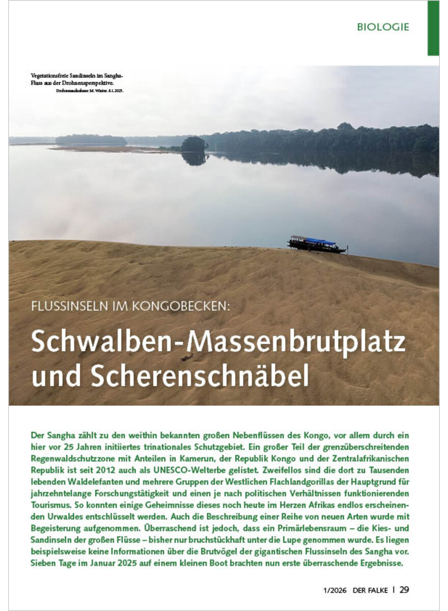 Auf diesem Bild sehen Sie das Produktbild 1 f�r FLUSSINSELN IM KONGOBECKEN SCHWALBEN-MASSENBRUTPLATZ UND SCHERENSCHN�BEL