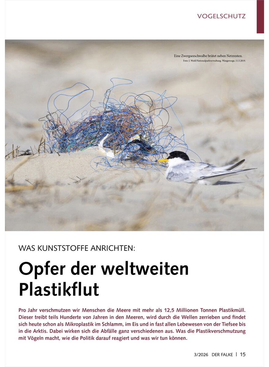 Auf diesem Bild sehen Sie das Produktbild 1 f�r WAS KUNSTSTOFFE ANRICHTEN OPFE R DER WELTWEITEN PLASTIKFLUT