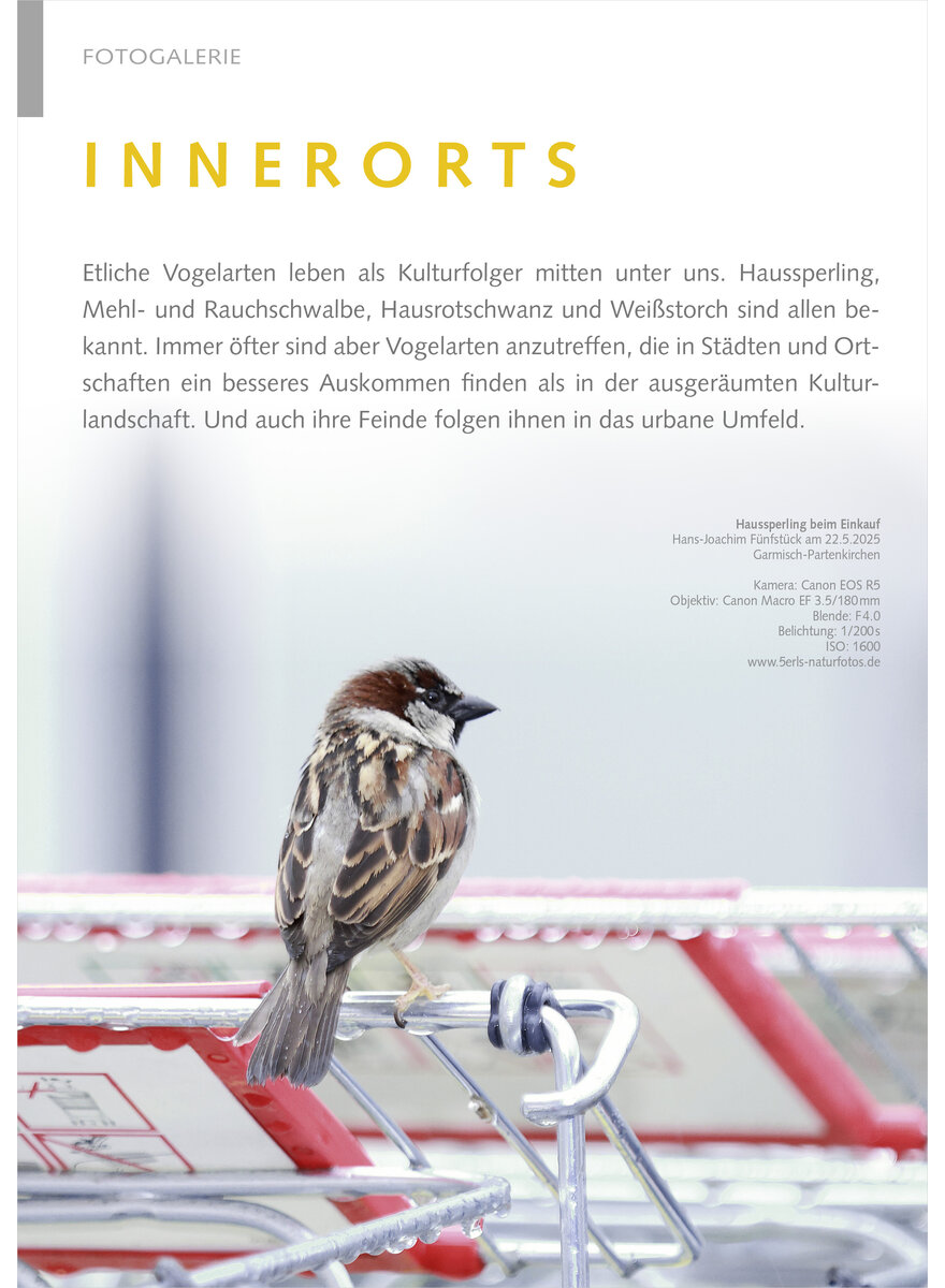 Auf diesem Bild sehen Sie das Produktbild 1 f�r FOTOGALERIE INNERORTS