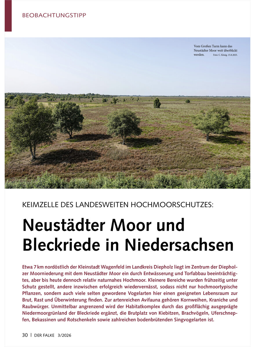 Auf diesem Bild sehen Sie das Produktbild 1 f�r KEIMZELLE DES LANDESWEITEN HOCHMOORSCHUTZES NEUST�DTER MOOR UND BLECKRIEDE