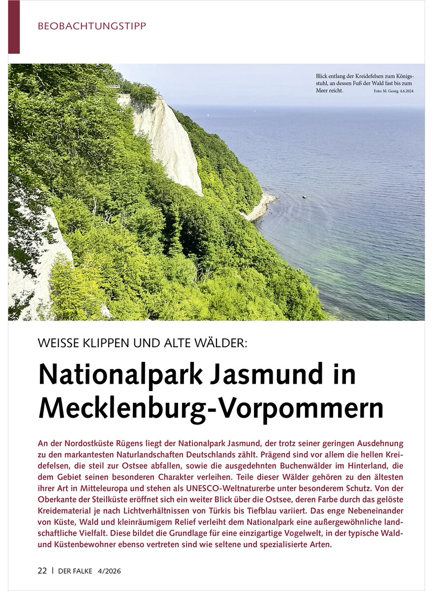 Auf diesem Bild sehen Sie das Produktbild 1 f�r WEISSE KLIPPEN UND ALTE W�LDER NATIONALPARK JASMUND IN MECKLE NBURG-VORPOMMERN