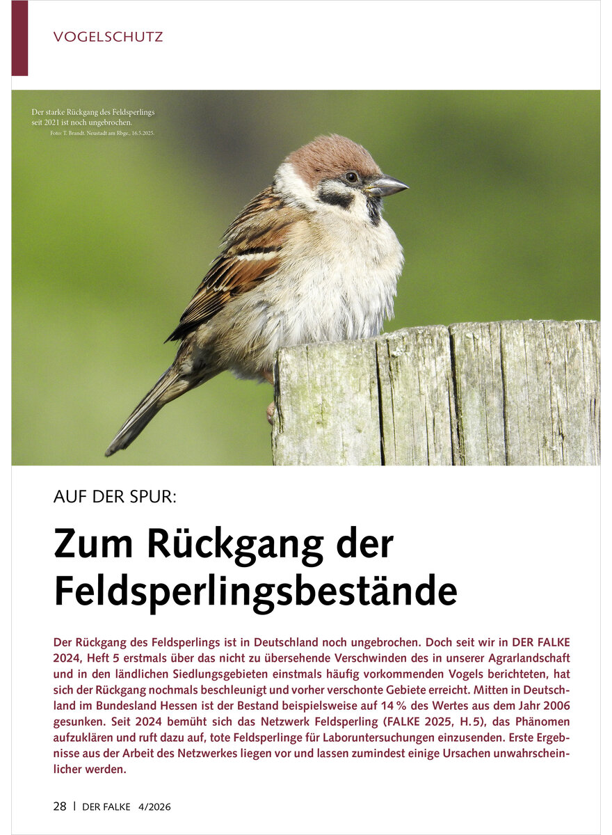 Auf diesem Bild sehen Sie das Produktbild 1 f�r AUF DER SPUR ZUM R�CKGANG DER FELDSPERLINGSBEST�NDE