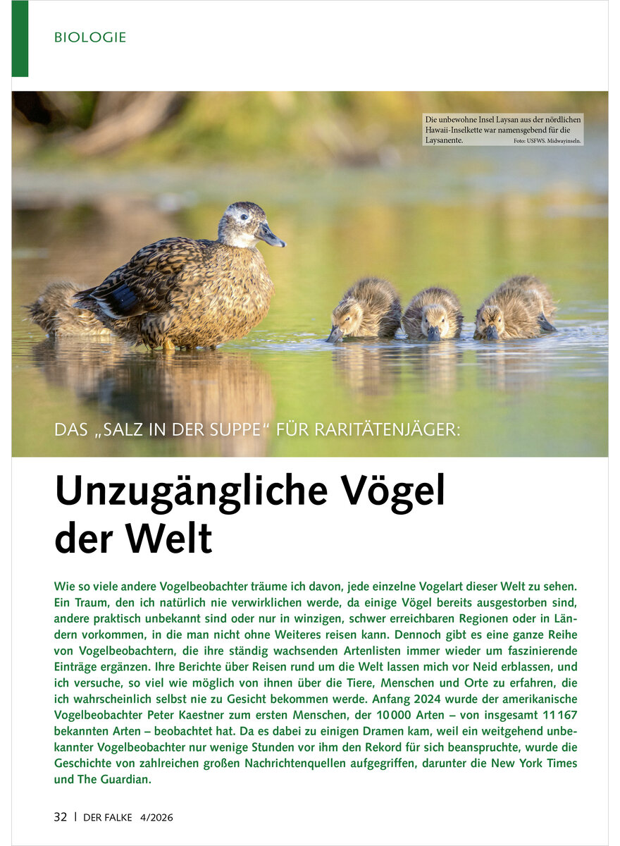 Auf diesem Bild sehen Sie das Produktbild 1 f�r DAS SALZ IN DER SUPPE F�R RA RARIT�TENJ�GER UNZUG�NGLICHE V�GEL DER WELT