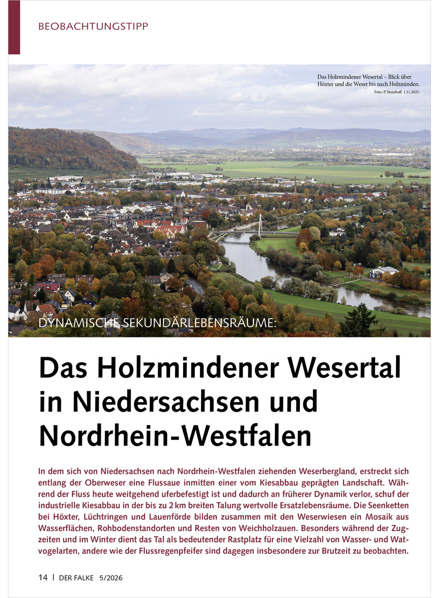 Auf diesem Bild sehen Sie das Produktbild 1 f�r DYNAMISCHE SEKUND�RLEBENSR�UME HOLZMINDENER WESERTAL IN NIEDE RSACHSEN UND NORDRHEIN-WESTFAL