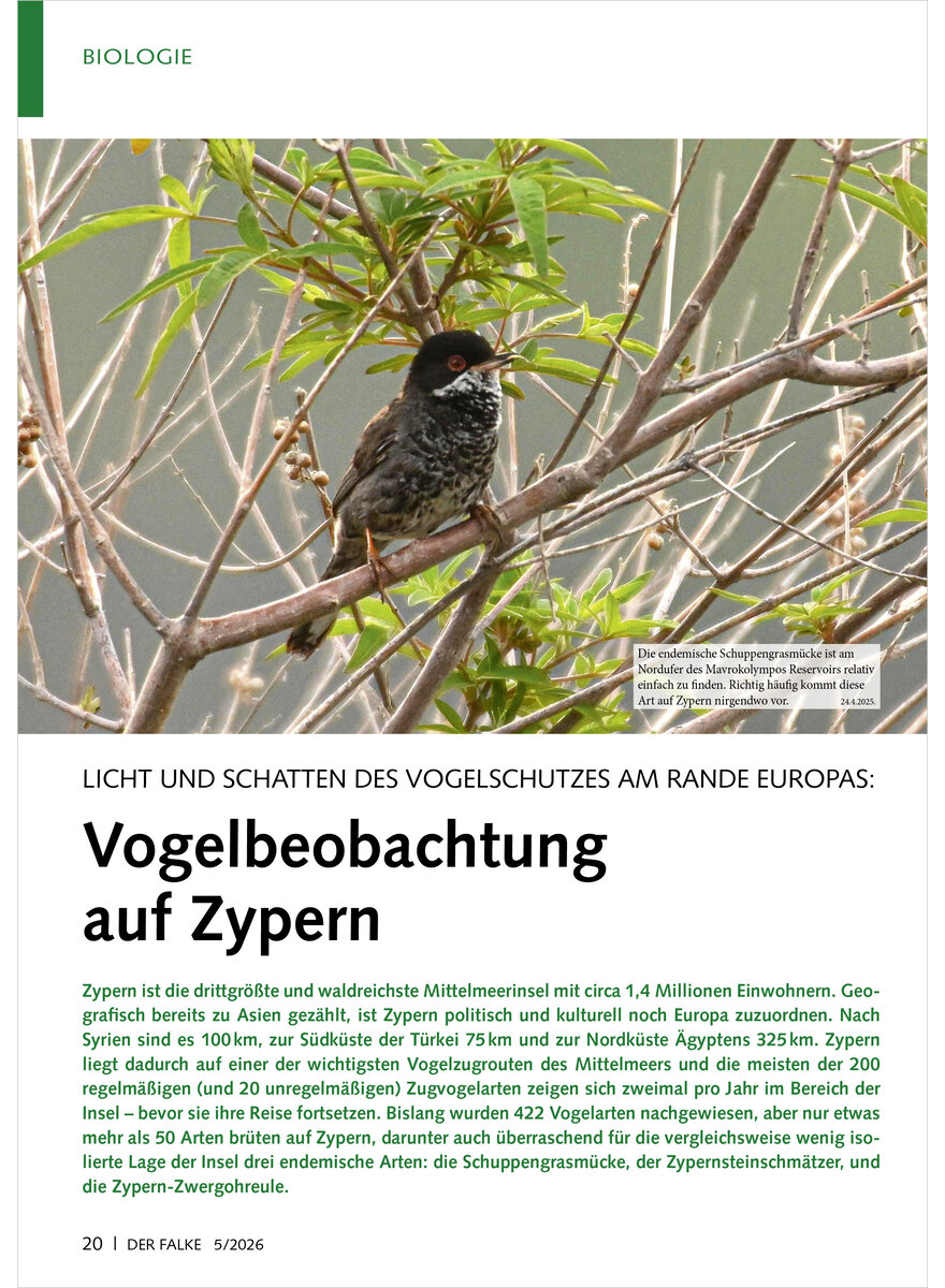 Auf diesem Bild sehen Sie das Produktbild 1 f�r LICHT UND SCHATTEN DES VOGEL SCHUTZES AM RANDE EUROPAS VOGELBEOBACHTUNG AUF ZYPERN