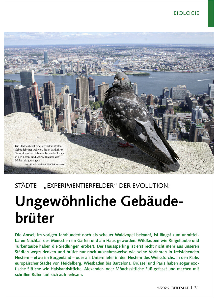 Auf diesem Bild sehen Sie das Produktbild 1 f�r ST�DTE - EXPERIMENTIERFELDER DER EVOLUTION UNGEW�HNLICHE GEB�UDEBR�TER