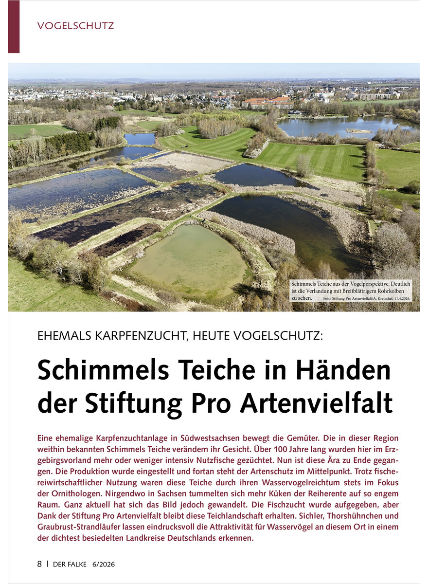 Auf diesem Bild sehen Sie das Produktbild 1 f�r EHEMALS KARPFENZUCHT, HEUTE VOGELSCHUTZ SCHIMMELS TEICHE DER STIFTUNG PRO ARTENVIELFALT