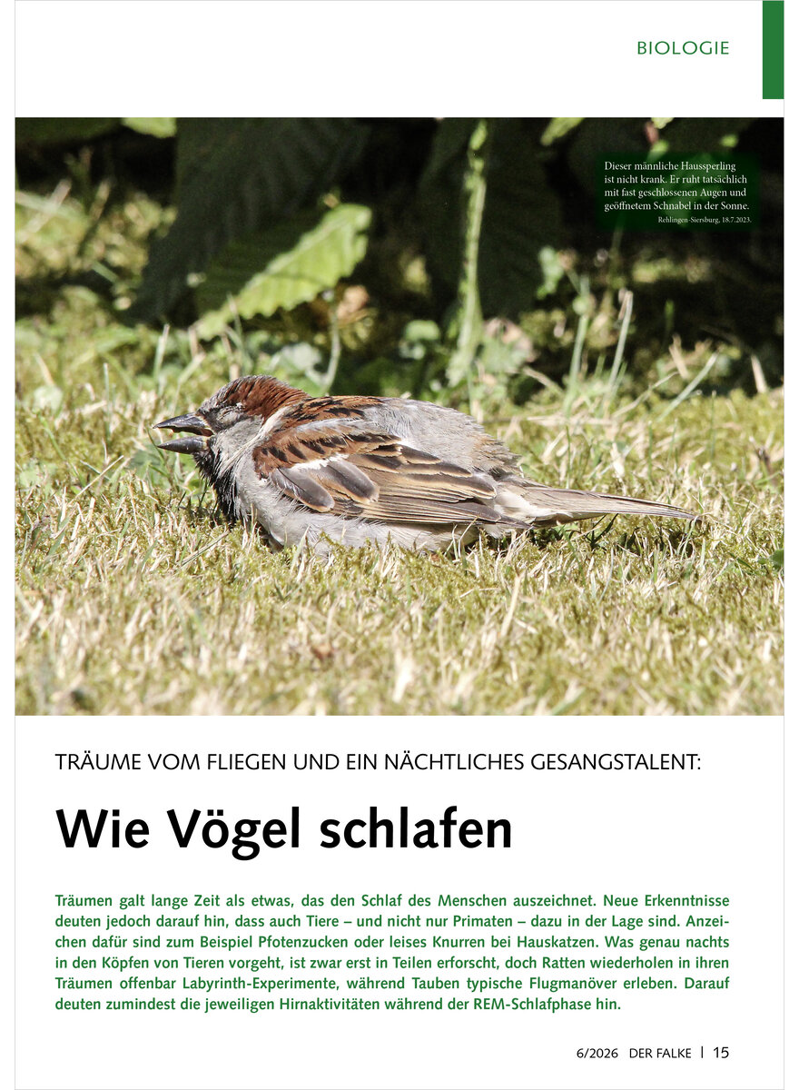 Auf diesem Bild sehen Sie das Produktbild 1 f�r TR�UME VOM FLIEGEN UND EIN N�CHTLICHES GESANGSTALENT WIE V�GEL SCHLAFEN