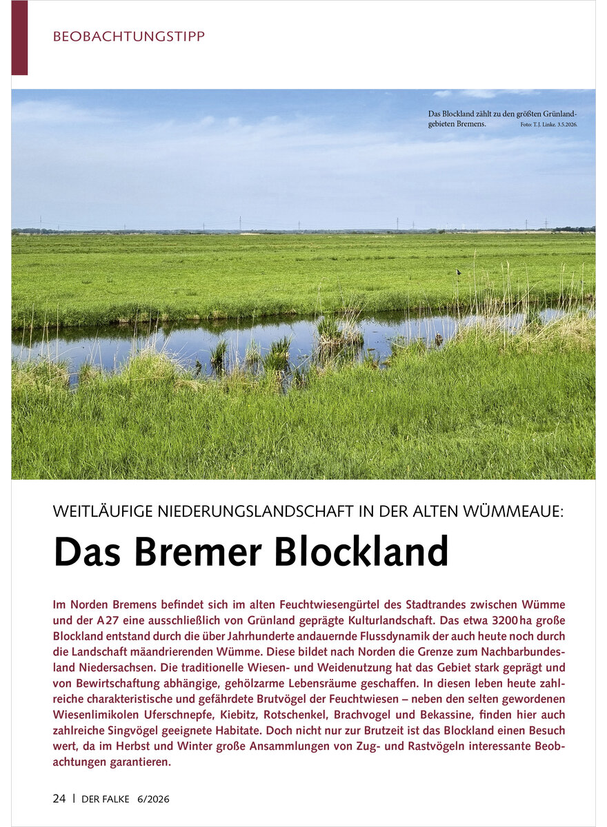 Auf diesem Bild sehen Sie das Produktbild 1 f�r WEITL�UFIGE NIEDERUNGSLAND SCHAFT IN DER ALTEN W�MMEAUE DAS BREMER BLOCKLAND
