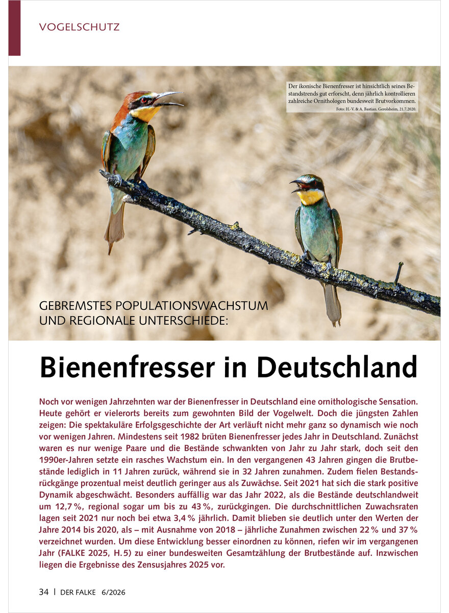 Auf diesem Bild sehen Sie das Produktbild 1 f�r GEBREMSTES POPULATIONSWACHSTUM UND REGIONALE UNTERSCHIEDE BIENENFRESSER in DEUTSCHLAND