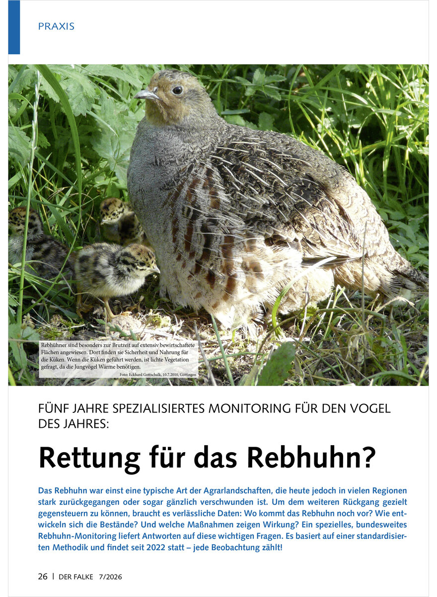 Auf diesem Bild sehen Sie das Produktbild 1 f�r F�NF JAHRE SPEZIALISIERTES MONITORING F�R DEN VOGEL DES JAHRES RETTUNG F�R DAS REBHUHN