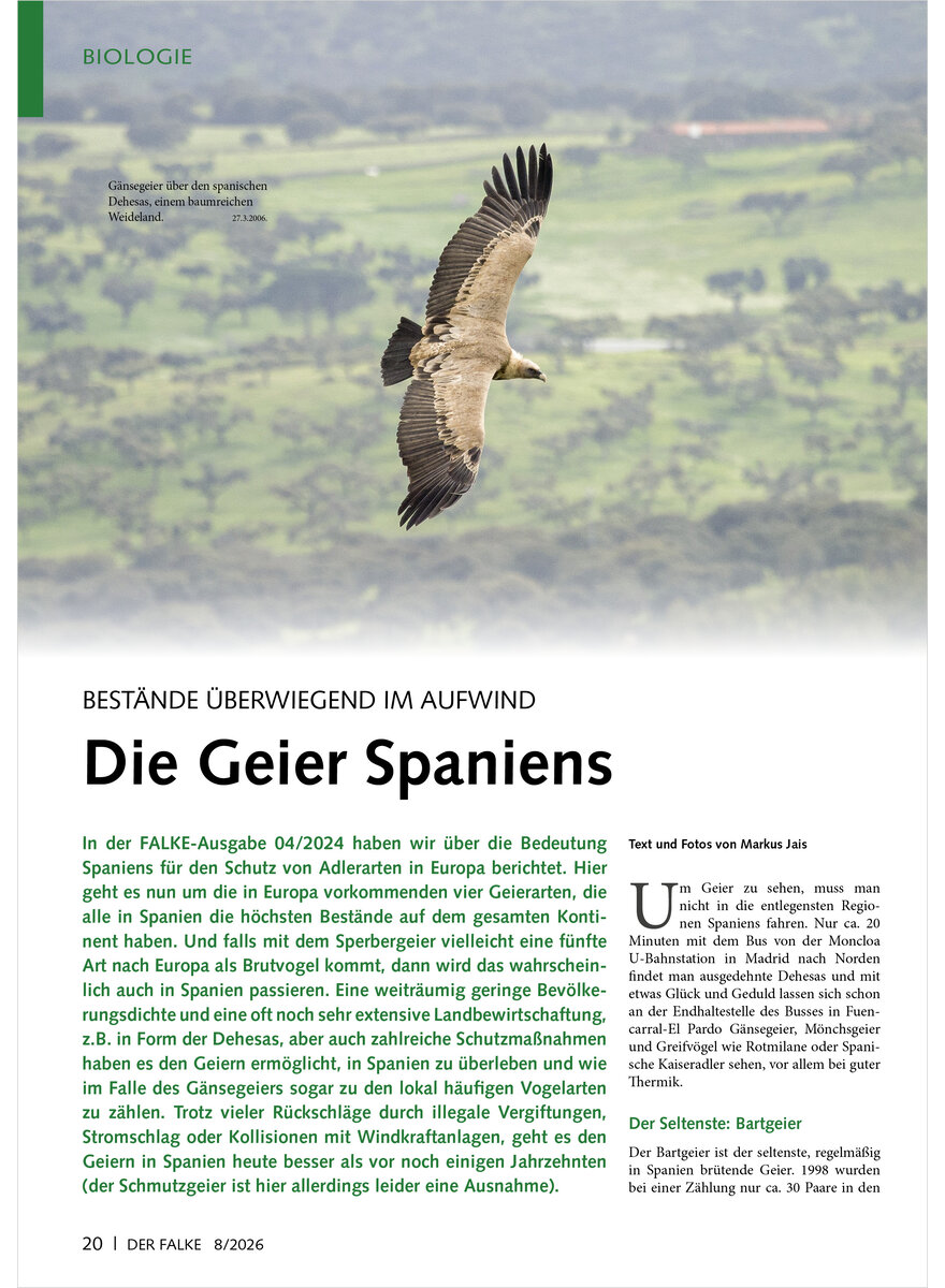 Auf diesem Bild sehen Sie das Produktbild 1 f�r BEST�NDE �BERWIEGEND IM AUFWIND DIE GEIER SPANIENS