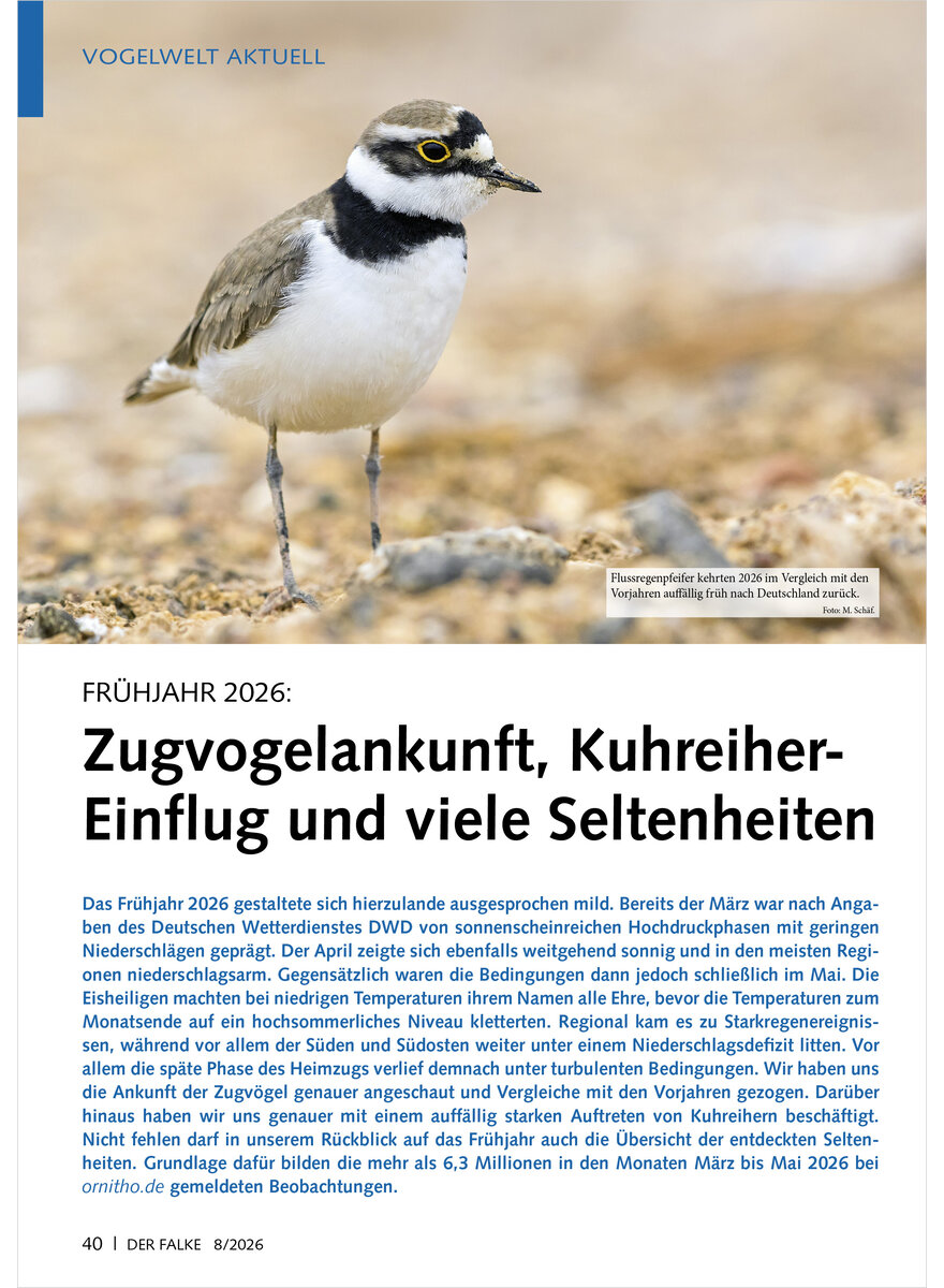 Auf diesem Bild sehen Sie das Produktbild 1 f�r FR�HJAHR 2026 ZUGVOGELANKUNFT, KUHREIHER-EINFLUG UND VIELE SELTENHEITEN