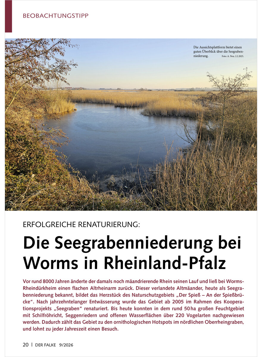 Auf diesem Bild sehen Sie das Produktbild 1 f�r ERFOLGREICHE RENATURIERUNG DIE SEEGRABENNIEDERUNG BEI WORMS IN RHEINLAND-PFALZ