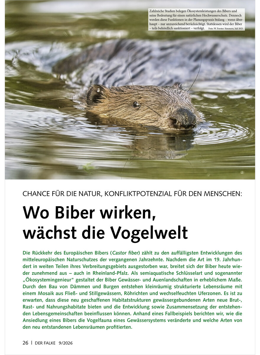 Auf diesem Bild sehen Sie das Produktbild 1 f�r CHANCE F�R DIE NATUR KONFLIKT POTENZIAL WO BIBER WIRKEN W�CHST DIE VOGELWELT