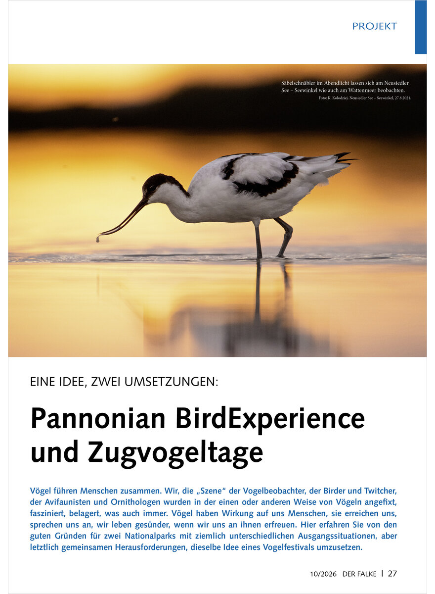 Auf diesem Bild sehen Sie das Produktbild 1 f�r EINE IDEE, ZWEI UMSETZUNGEN PANONNIAN BIRDEXPERIENCE UND ZUGVOGELTAGE