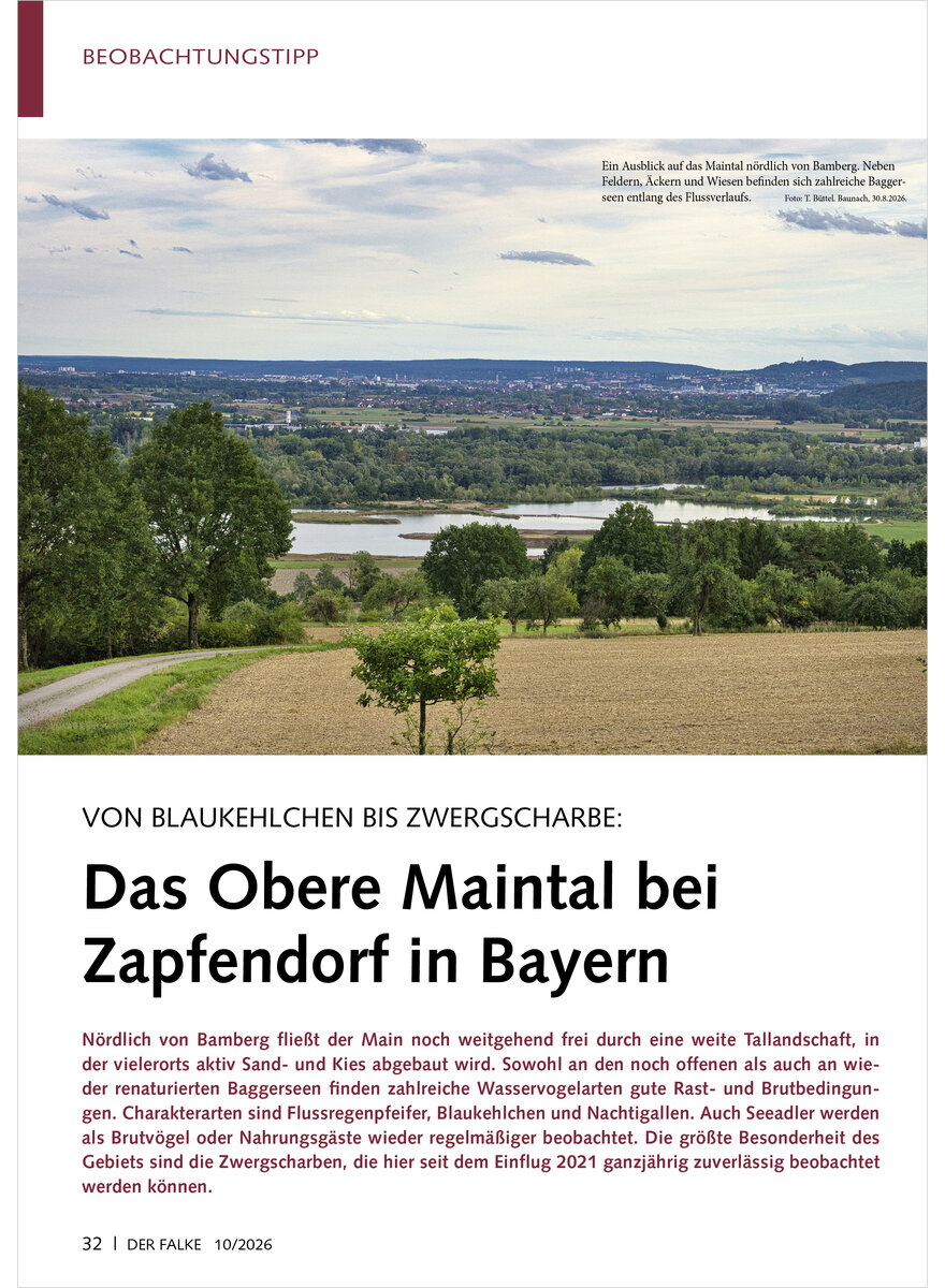 Auf diesem Bild sehen Sie das Produktbild 1 f�r VON BLAUKEHLCHEN BIS ZWERG SCHARBE DAS OBERE MAINTAL BEI ZAPFENDORF IN BAYERN
