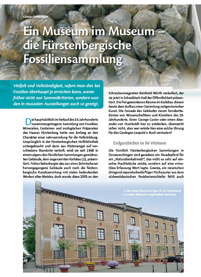 EIN MUSEUM IM MUSEUM - DIE FRSTENBERGISCHE FOSSILIENSAMMLUNG