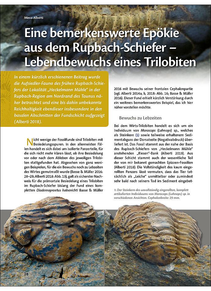 EINE BEMERKENSWERTE EPKIE AUS DEM RUPBACH-SCHIEFER - LEBENDBEWUCHS EINES TRILOBITEN