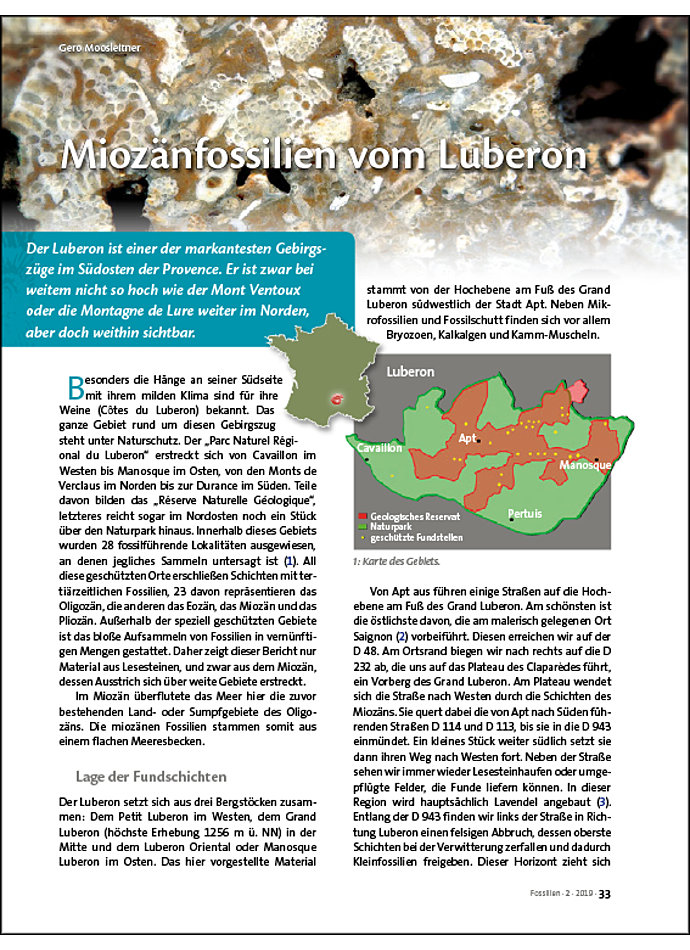Auf diesem Bild sehen Sie das Produktbild 1 fr MIOZNFOSSILIEN VOM LUBERON