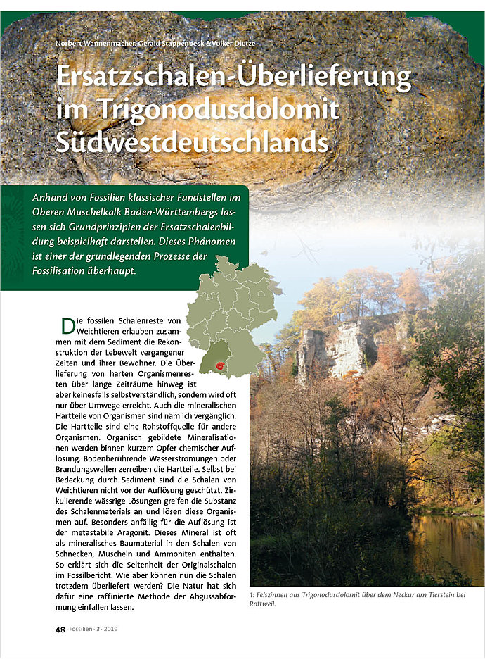 Auf diesem Bild sehen Sie das Produktbild 1 fr ERSATZSCHALEN-BERLIEFERUNG IM TRIGONODUSDOLOMIT SDWESTDEUTSCHLANDS