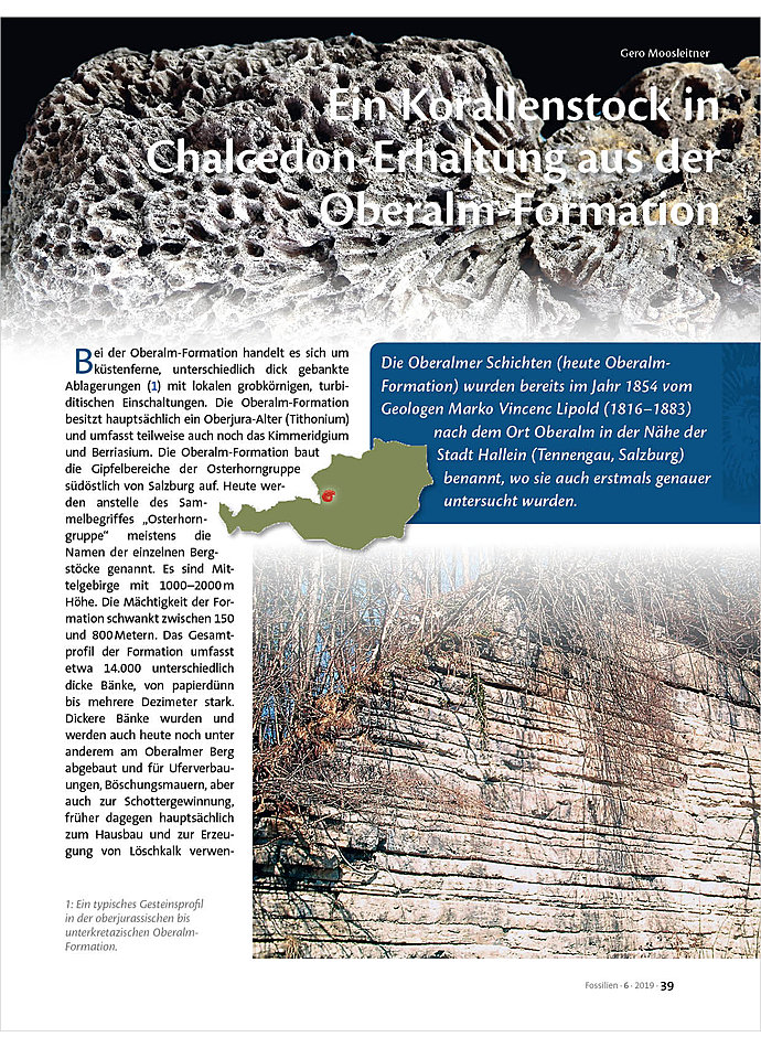 Auf diesem Bild sehen Sie das Produktbild 1 fr EIN KORALLENSTOCK IN CHALCEDON -ERHALTUNG AUS DER OBERALM- FORMATION