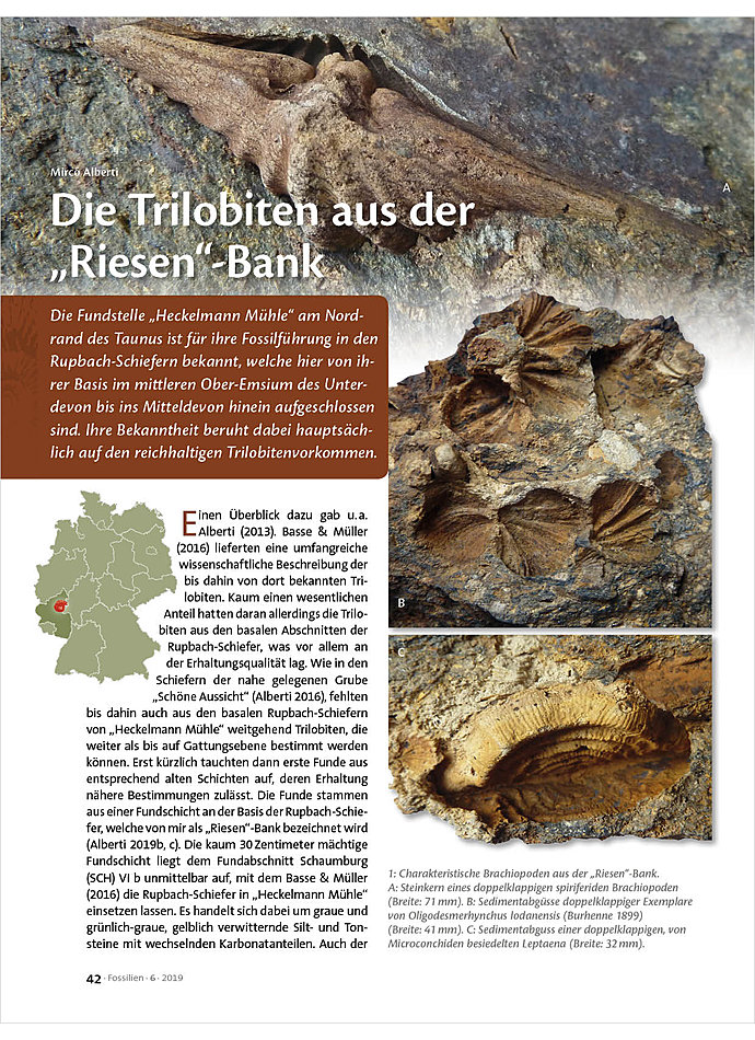 Auf diesem Bild sehen Sie das Produktbild 1 fr DIE TRILOBITEN AUS DER RIESEN -BANK