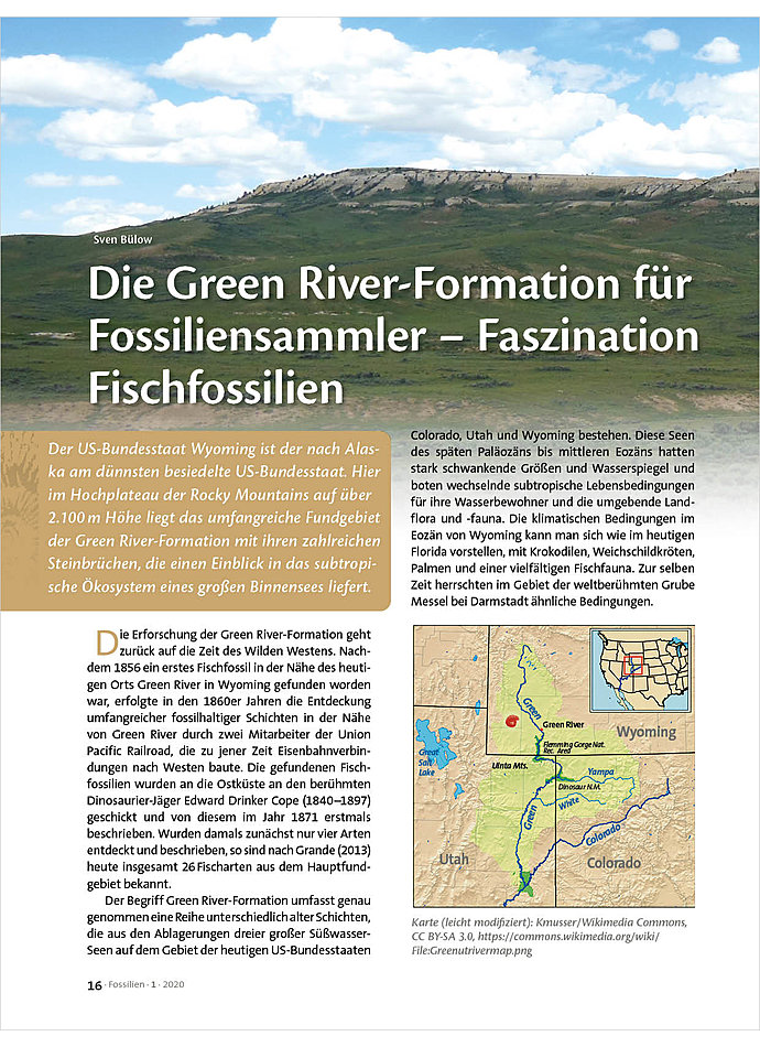 DIE GREEN RIVER-FORMATION FR FOSSILIENSAMMLER - FASZINATION FISCHFOSSILIEN